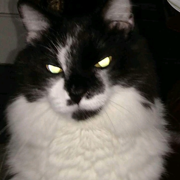 Meet your Posher, Melissa - Picture 1 of 1